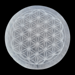 Image du produit précédent